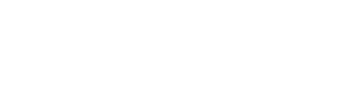 WebMax Logo